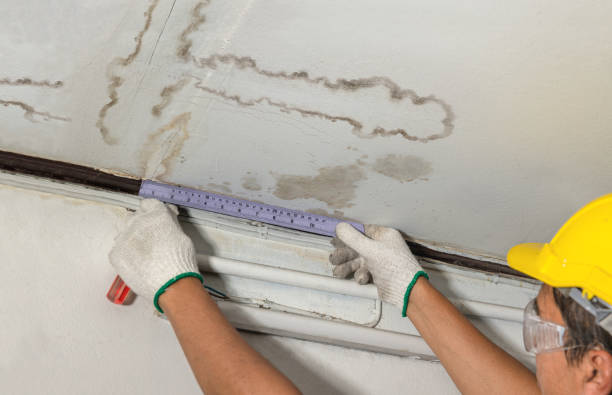Reliable Mold Remediation contractor in Martinsville, OH by Water Damage Irwin